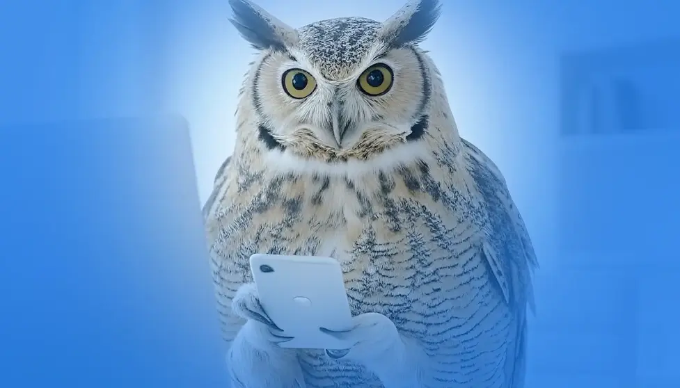 Smart owl