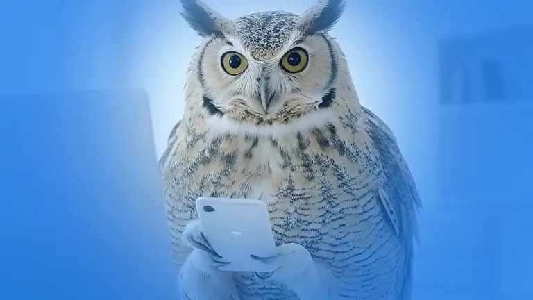 Smart owl